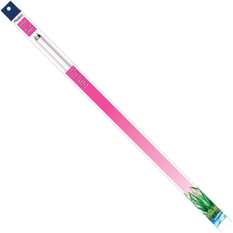 Aqueon T8 Colormax Fluorescent Lamp - PetMountain.com