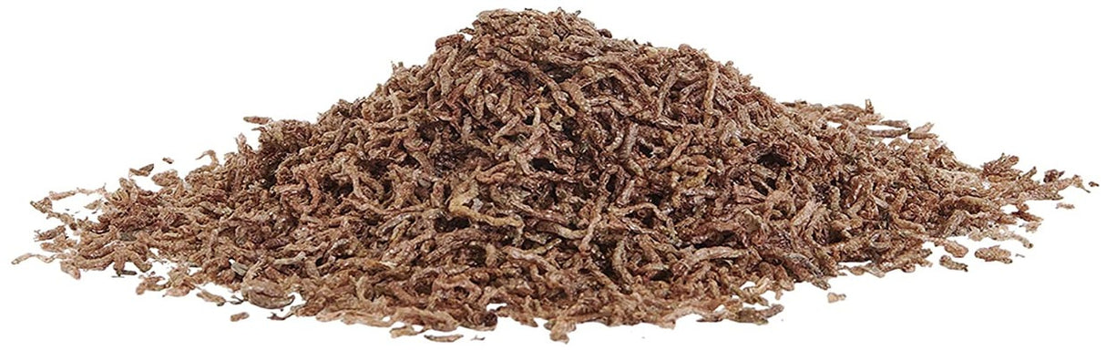 0.175 oz Aqueon Betta Treat Freeze Dried Bloodworms