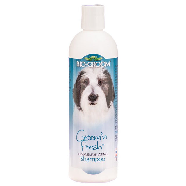 Bio Groom Groom n Fresh Shampoo - PetMountain.com