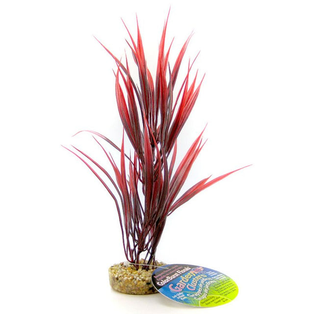 Blue Ribbon Sword Plant with Gravel Base Red - PetMountain.com