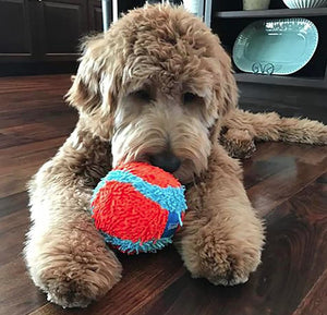 2 count Chuckit Indoor Ball Toy for Dogs