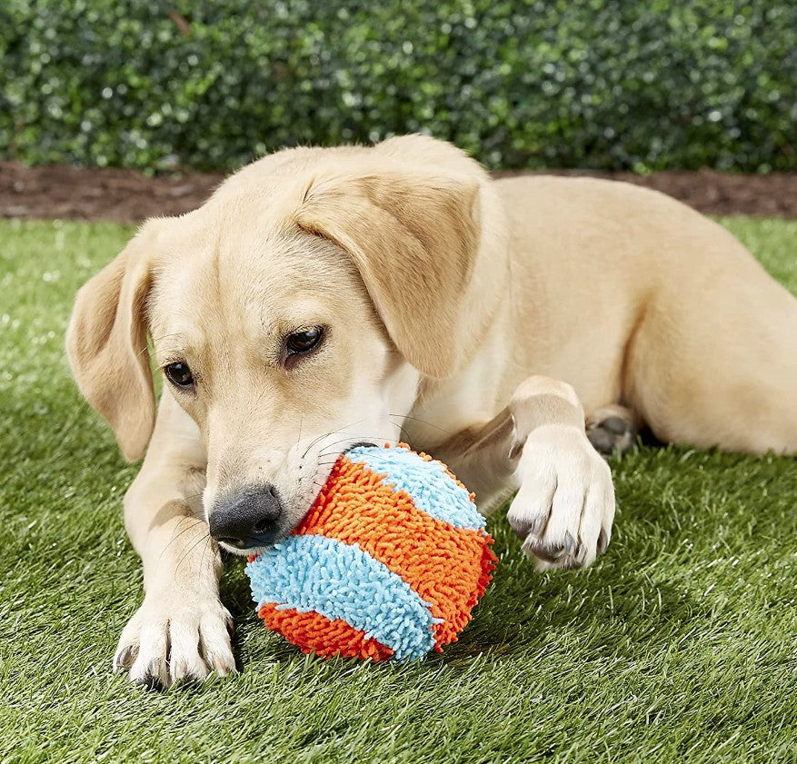 1 count Chuckit Indoor Ball Toy for Dogs
