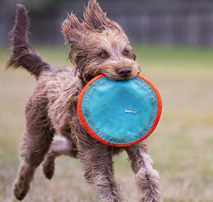 1 count Chuckit Paraflight Disc Dog Toy