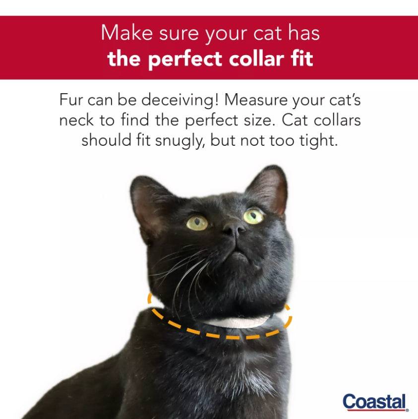 Coastal Pet New Earth Soy Printed Breakaway Cat Collar Rose Pattern - PetMountain.com