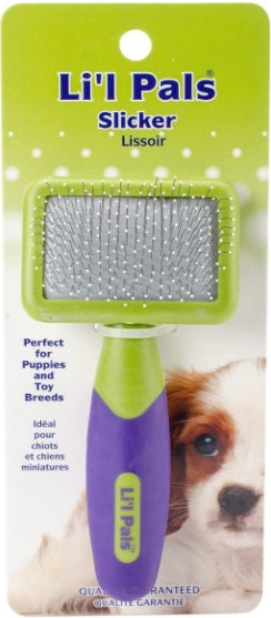 Lil Pals Tiny Slicker Brush for Small Dogs and Puppies - PetMountain.com