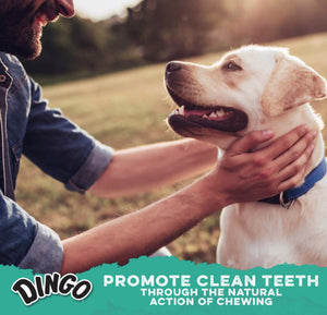 Dingo Dental Sticks for Tartar Control - PetMountain.com