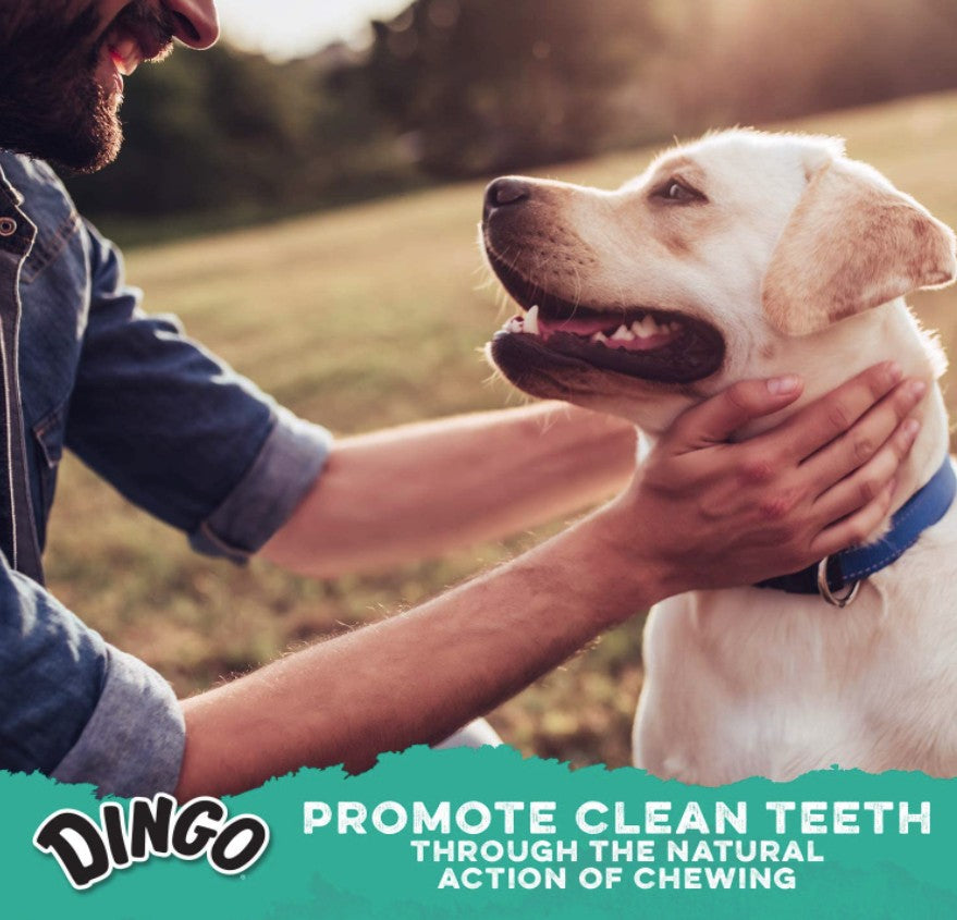 Dingo Dental Twists with Real Chicken - PetMountain.com