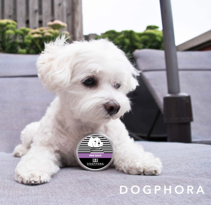 Dogphora Soothing Paw Balm for Dogs - PetMountain.com
