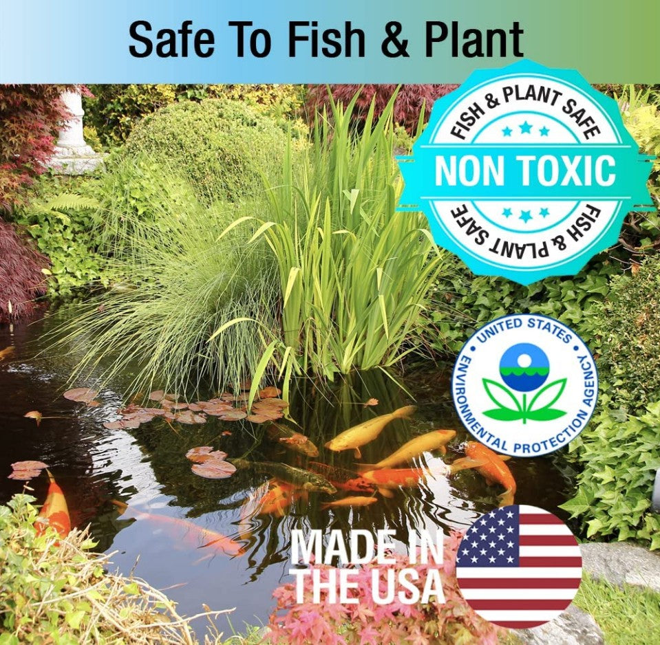 8 oz Microbe-Lift Pond Algaway 5.4 Algaecide for Ponds Stops Algae Growth
