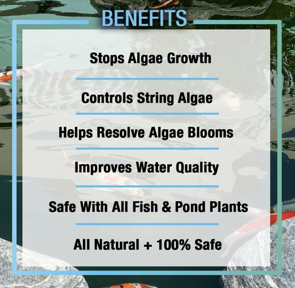 32 oz Microbe-Lift Pond Algaway 5.4 Algaecide for Ponds Stops Algae Growth