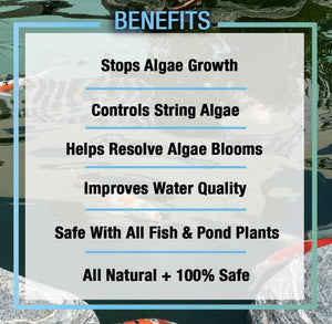1 gallon Microbe-Lift Pond Algaway 5.4 Algaecide for Ponds Stops Algae Growth