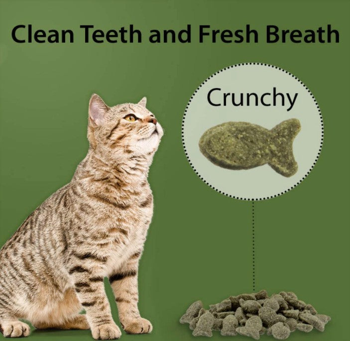 3 oz Emerald Pet Feline Dental Treats Catnip Flavor