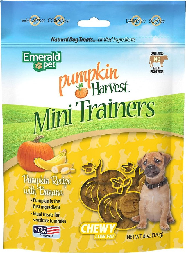 Emerald Pet Pumpkin Harvest Mini Trainers with Banana Chewy Dog Treats - PetMountain.com
