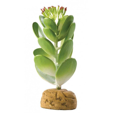 Exo Terra Desert Jade Cactus Terrarium Plant - PetMountain.com