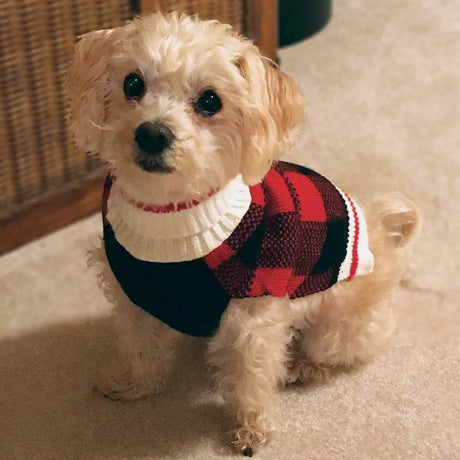Fashion Pet Plaid Dog Sweater Red