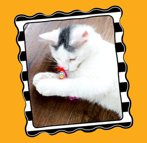 Fat Cat Springy Worm Catnip Toy - PetMountain.com