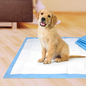 14 count Four Paws Original Wee Wee Pads Floor Armor Leak-Proof System for All Dogs and Puppies