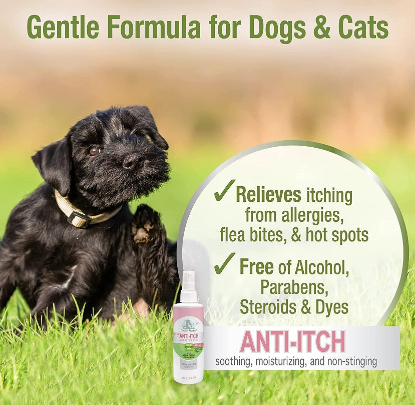 Four Paws Pet Aid Medicated Anti-Itch Spray - PetMountain.com