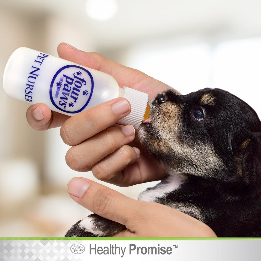 6 count Four Paws Healthy Promise Pet Nurser Bottle with Brush Kit