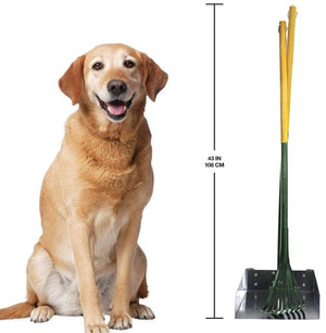 1 count Four Paws Wee-Wee Pan and Rake Set Large