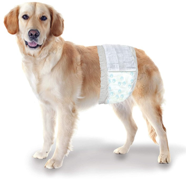 Four Paws Wee Wee Disposable Male Dog Wraps Medium/Large - PetMountain.com