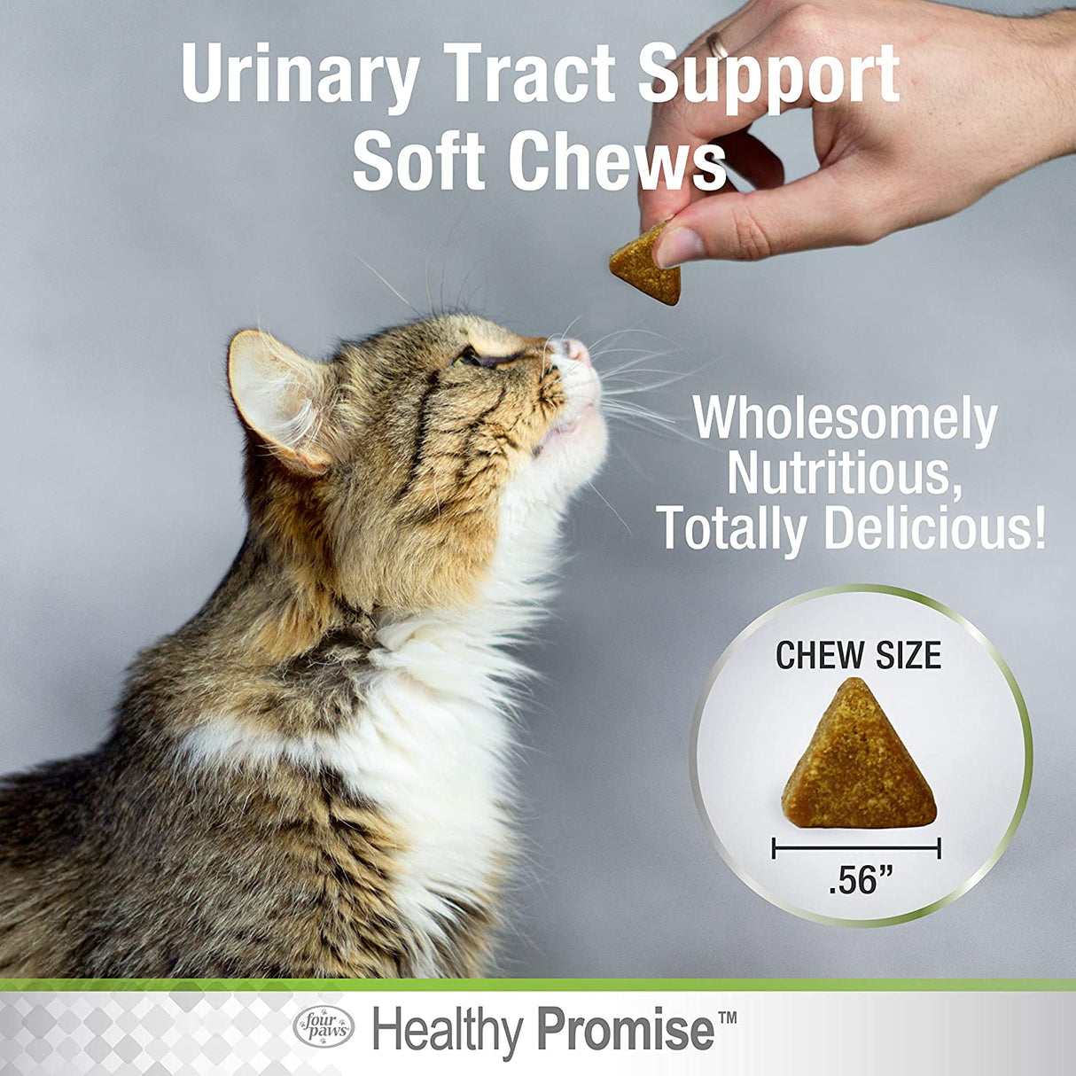 Four Paws Healthy Promise Urinary Tract Health Supplements for Cats - PetMountain.com