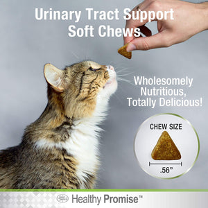110 count Four Paws Healthy Promise Urinary Tract Health Supplements for Cats