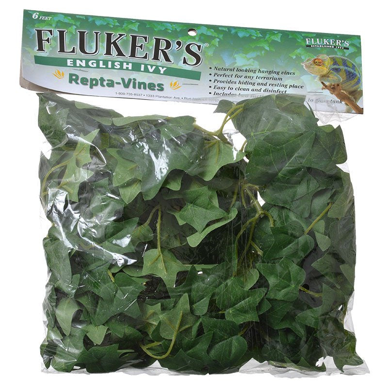 Flukers Repta-Vines English Ivy - PetMountain.com