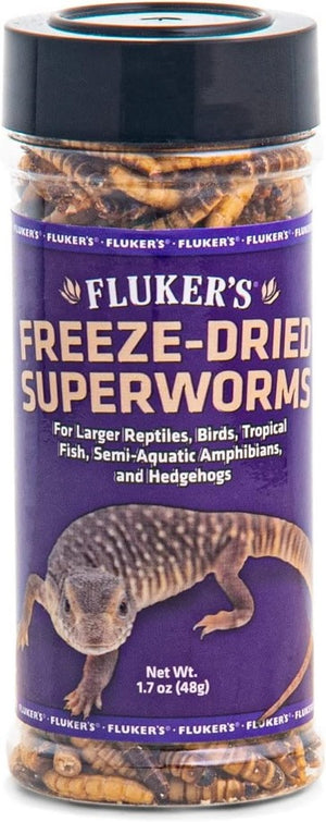 Flukers Freeze Dried Superworms for Reptiles - PetMountain.com