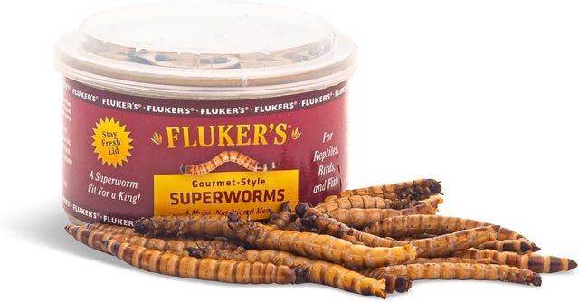 Flukers Gourmet Canned Superworms for Reptiles - PetMountain.com