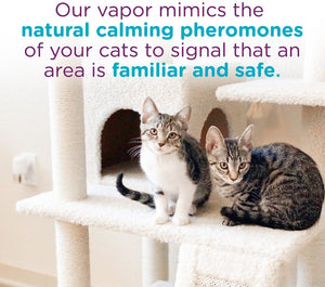 Comfort Zone Multi-Cat Diffuser Refills For Cats and Kittens - PetMountain.com