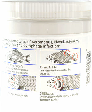 400 gram Fritz Aquatics Maracyn Bacterial Treatment Powder for Freshwater and Saltwater Aquariums Jar