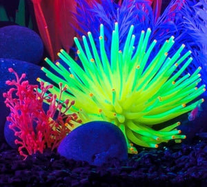 GloFish Anemone Aquarium Ornament Yellow - PetMountain.com