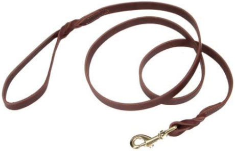 6 feet x 1"W Circle T Latigo Leather Twist Dog Leash with Brass Hardware