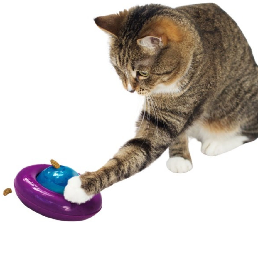 3 count (3 x 1 ct) KONG Infused Cat Gyro Toy