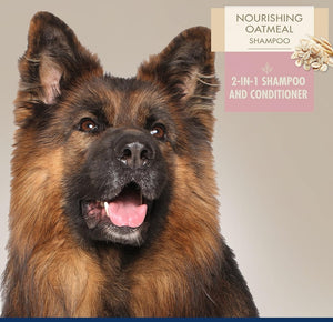 48 oz (3 x 16 oz) Magic Coat Professional Series Nourishing Oatmeal 2 In 1 Dog Shampoo and Conditioner