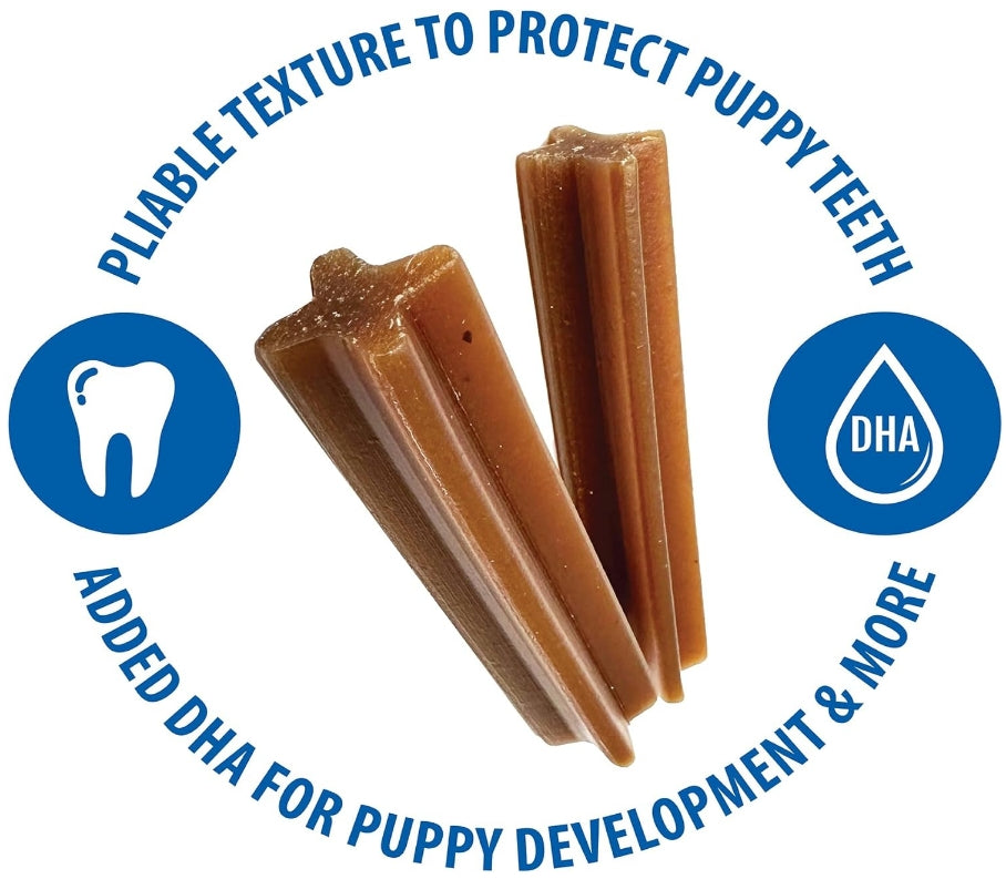 42 count (6 x 7 ct) N-Bone Jumbo Puppy Teething Sticks Pumpkin Flavor