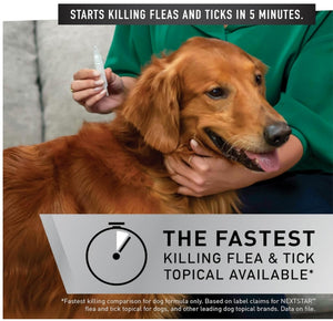 6 count (2 x 3 ct) NextStar Flea and Tick Topical Treatment for X Large Dogs 89-132 Pounds