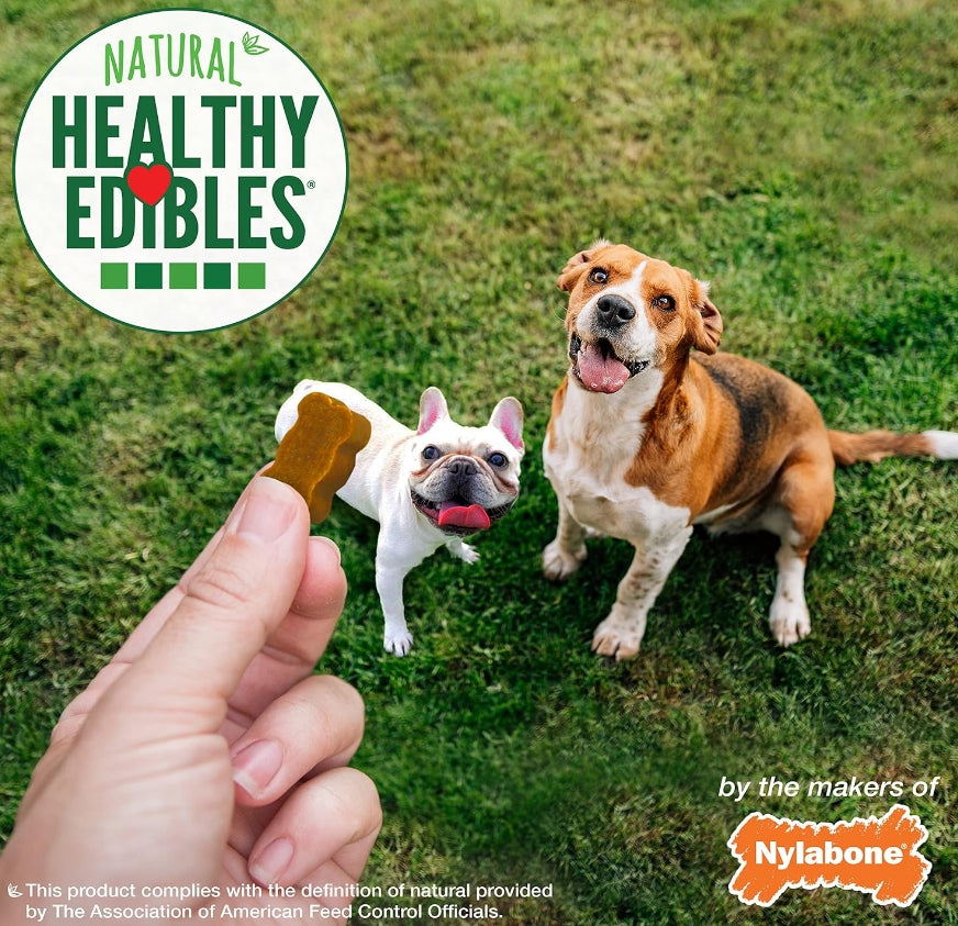 12 oz Nylabone Natural Healthy Edibles Chicken Chewy Bites Dog Treats