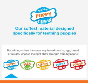 1 count Nylabone Power Chew Dental Puppy Chew for Teething Puppies Chicken Flavor Small/Regular