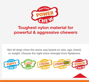 1 count Nylabone Power Chew Femur Alternative Beef Flavor Giant