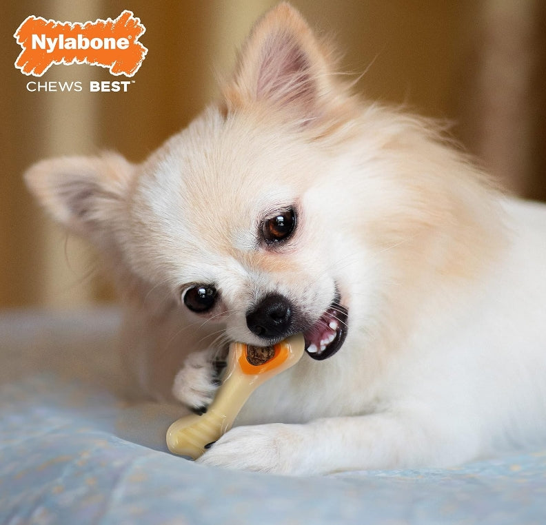 4 count Nylabone Power Chew Knuckle Bone and Pop- In Treat Toy Combo Chicken Flavor X-Small