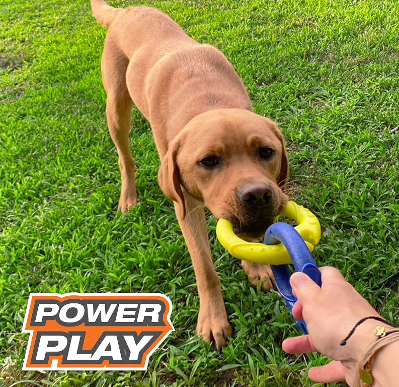 6 count (6 x 1 ct) Nylabone Power Play Tug-a-Ball Dog Toy Large