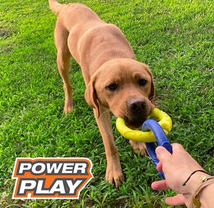 1 count Nylabone Power Play Tug-a-Ball Dog Toy Large