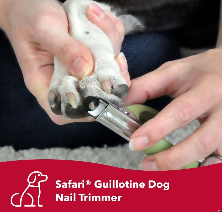Small - 1 count Safari Guillotine Nail Trimmer for Dogs