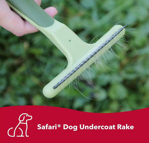 1 count Safari Single Row Undercoat Rake for Dogs