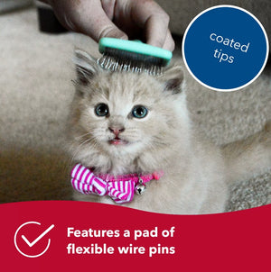 1 count Lil Pals Kitten Slicker Brush with Coated Tips