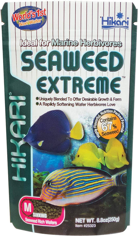 Hikari Seaweed Extreme Sinking Medium Wafer Food