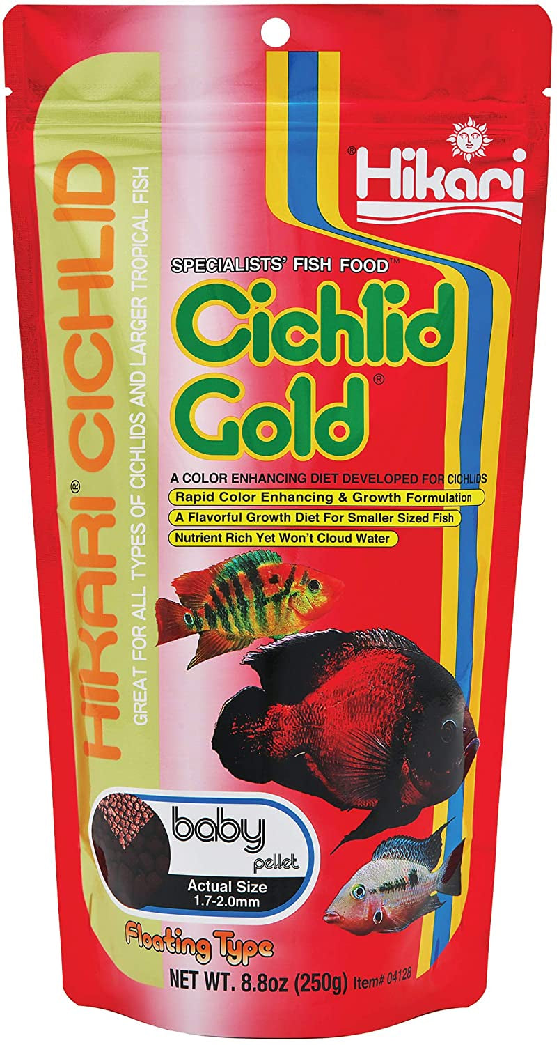 Hikari Cichlid Gold Floating Baby Pellet Food - PetMountain.com