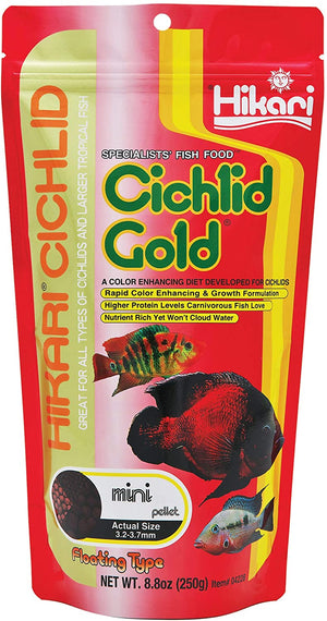 Hikari Cichlid Gold Floating Mini Pellet Food - PetMountain.com